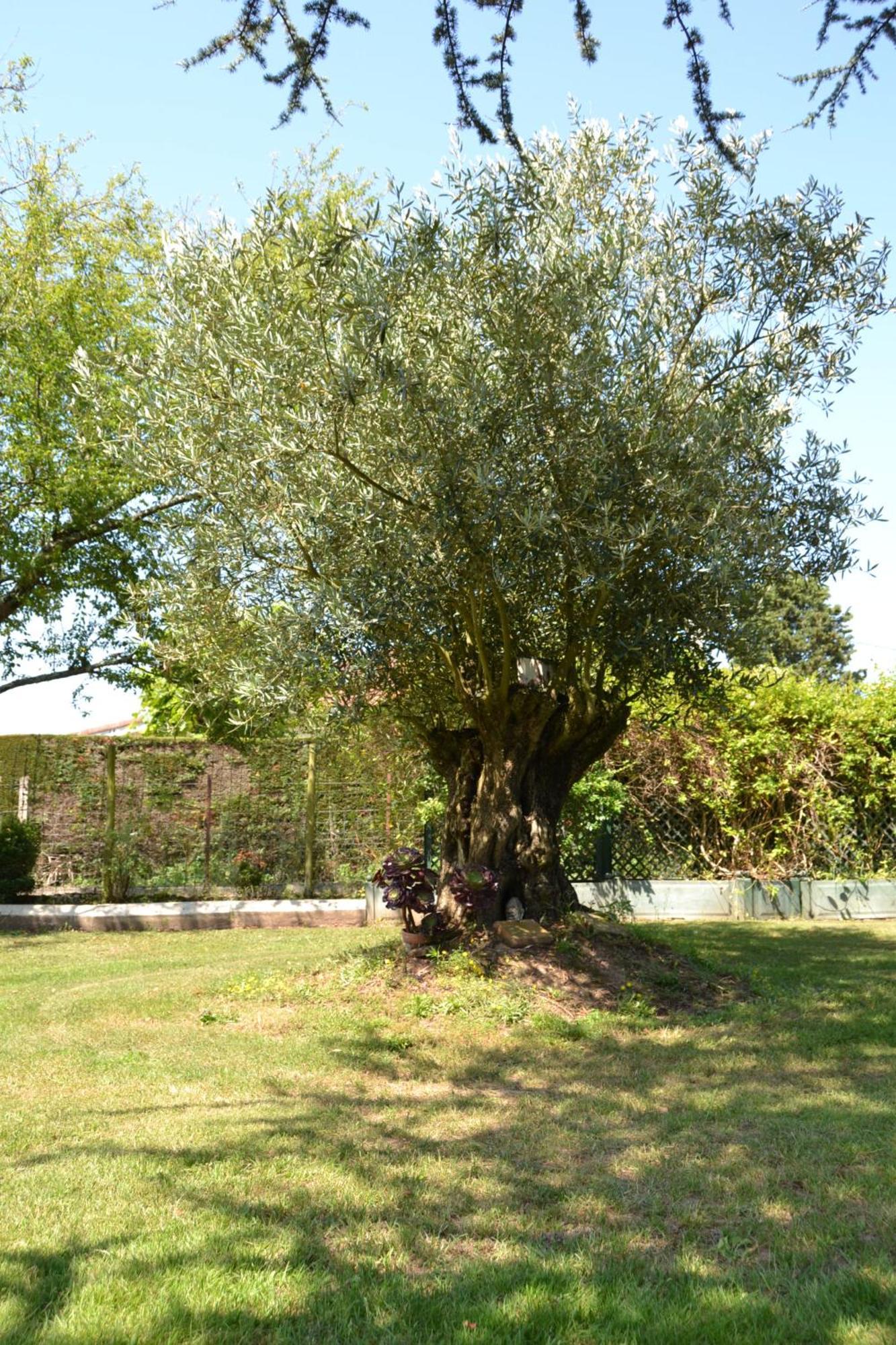 Le Gite De La Lombriere Saint-Denis-de-Pile Екстер'єр фото